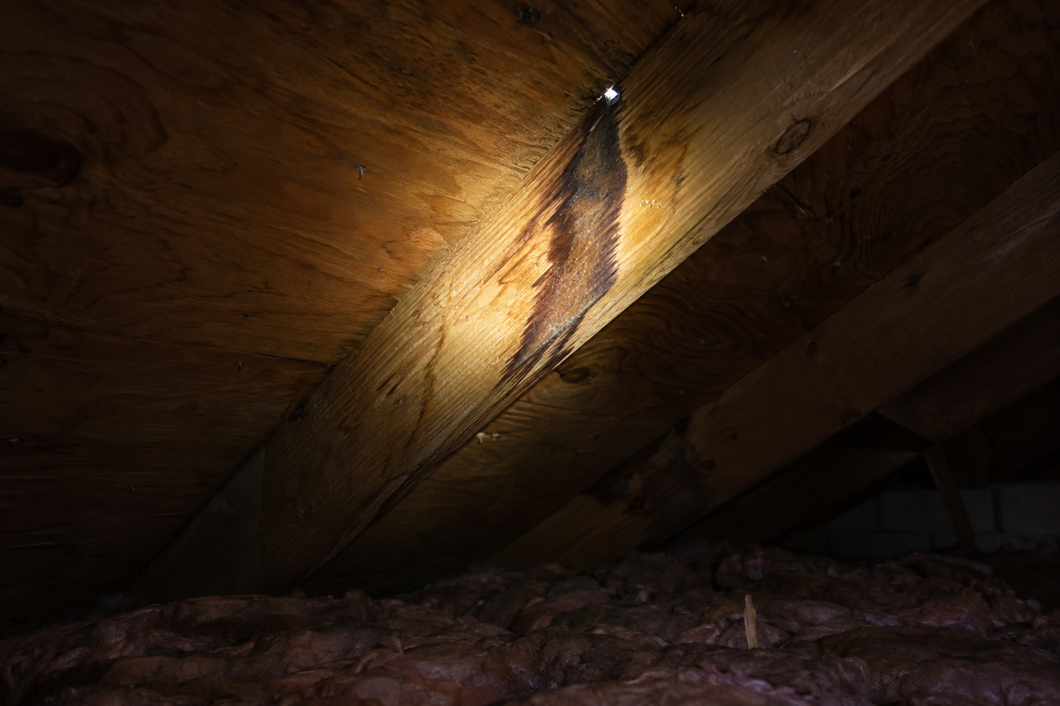 Water stain running down an attic rafter under a flashlight beam